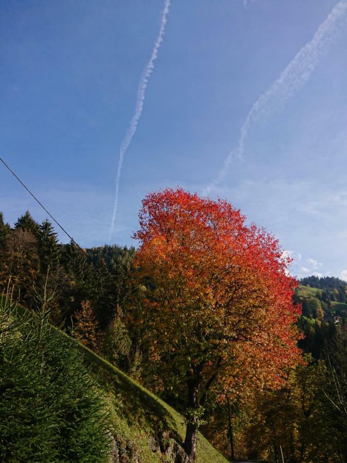Apart Pfister Aschau Im Zillertal Exterior foto